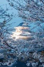 迷你世界下载九游-迷你世界，在九游平台上的奇妙探险之旅